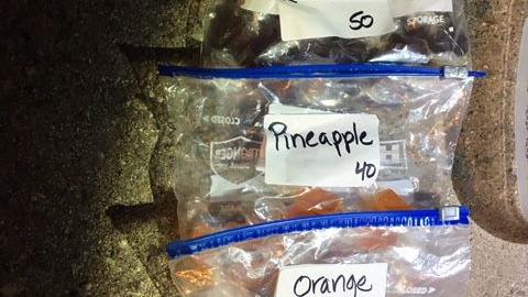 PSA: Check those Halloween candy bags before consuming